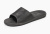 BL31955-8 BL31955-8
