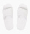 BL31955-4 BL31955-4