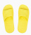 BL31955-7 BL31955-7